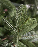 Árvore de Natal European Fir com Galhos Articulados, Suporte Metálico e Micro LEDs Embutidos